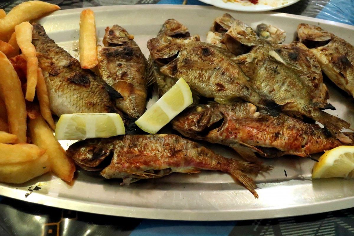 Peixes guarajuba’ e barracuda estão causando intoxicação alimentar em PE