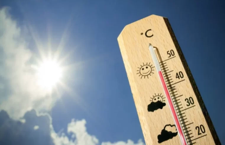 Rins e coração são os órgãos mais afetados pelo calor, segundo cardiologista