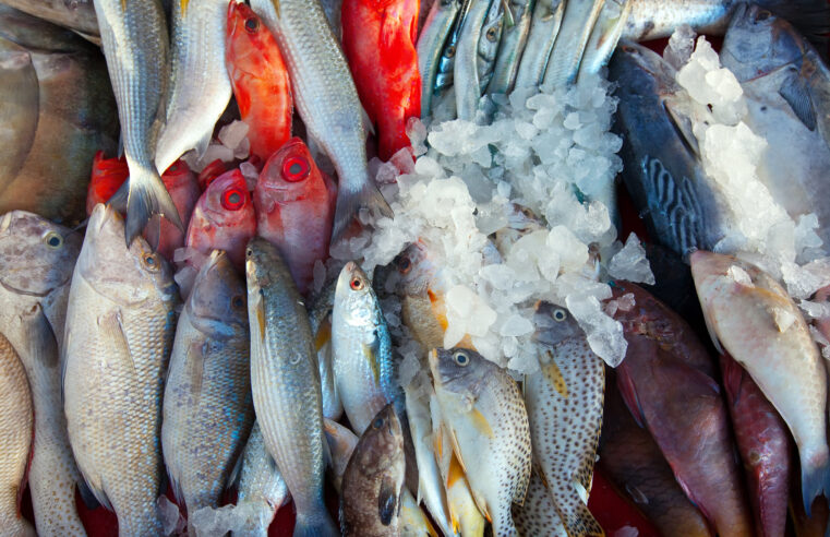 Amazonas confirma surto da ‘doença da urina preta’ relacionada ao consumo de pescados