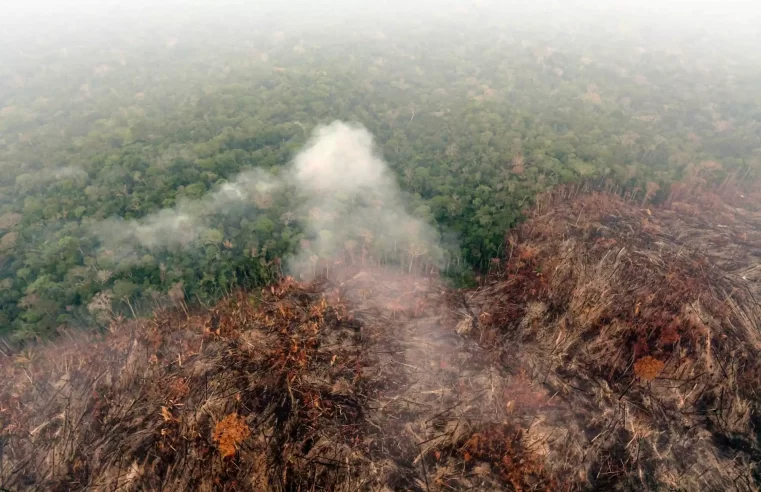 Ministro da Justiça envia Força-Tarefa para combater incêndios no Amazonas