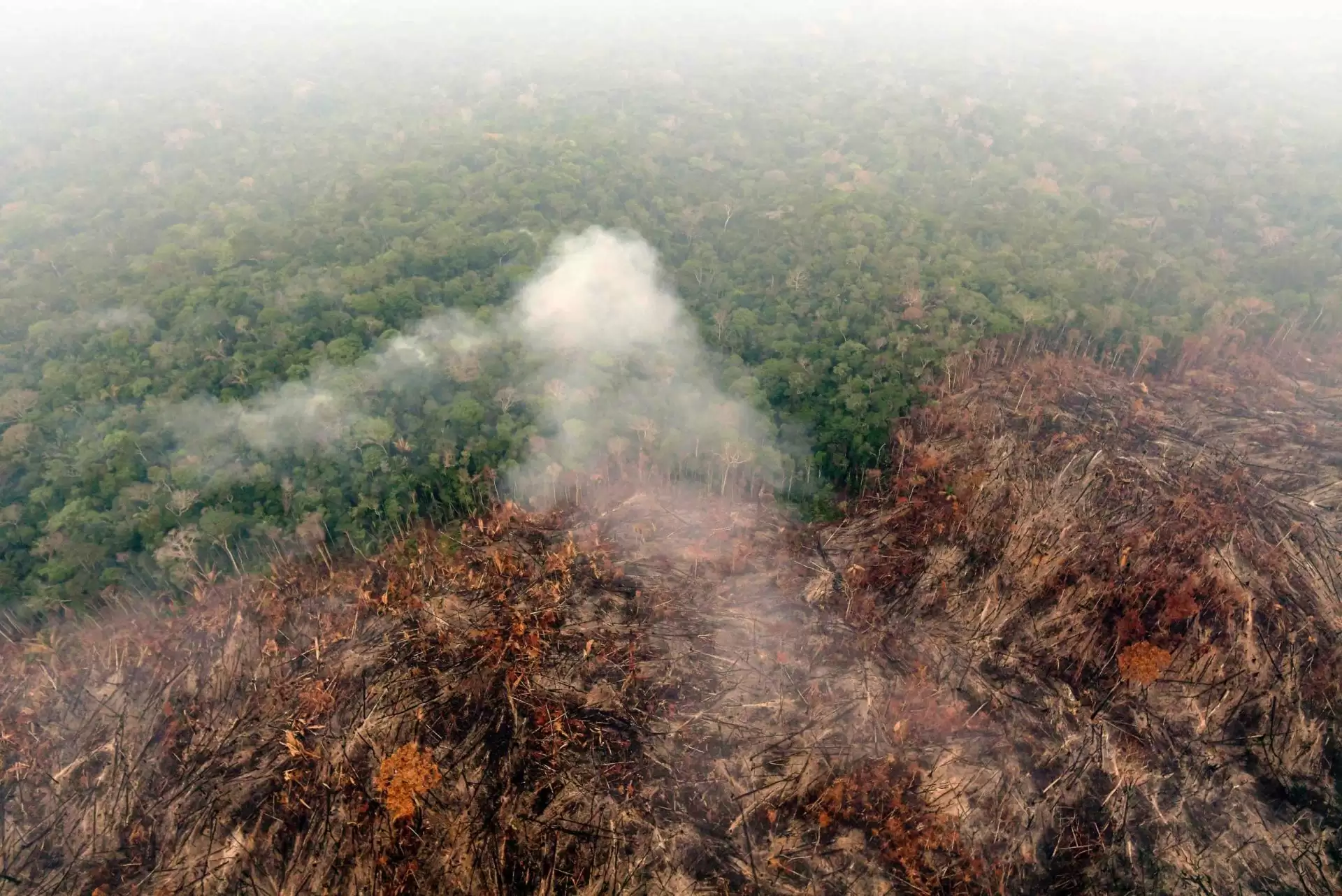 Ministro da Justiça envia Força-Tarefa para combater incêndios no Amazonas