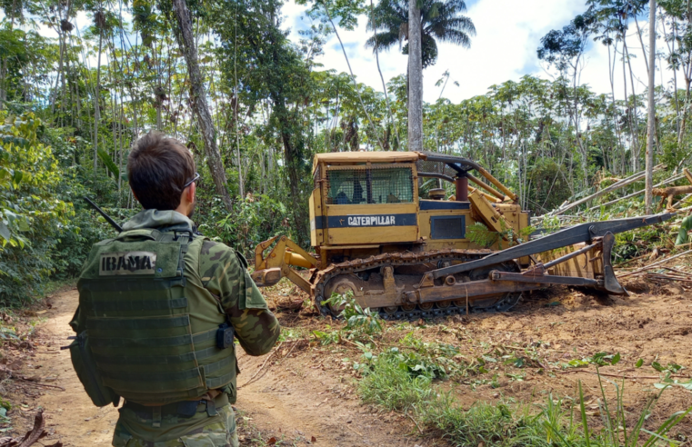 Prazo para desocupação voluntária de terras indígenas no Pará termina em 31/10