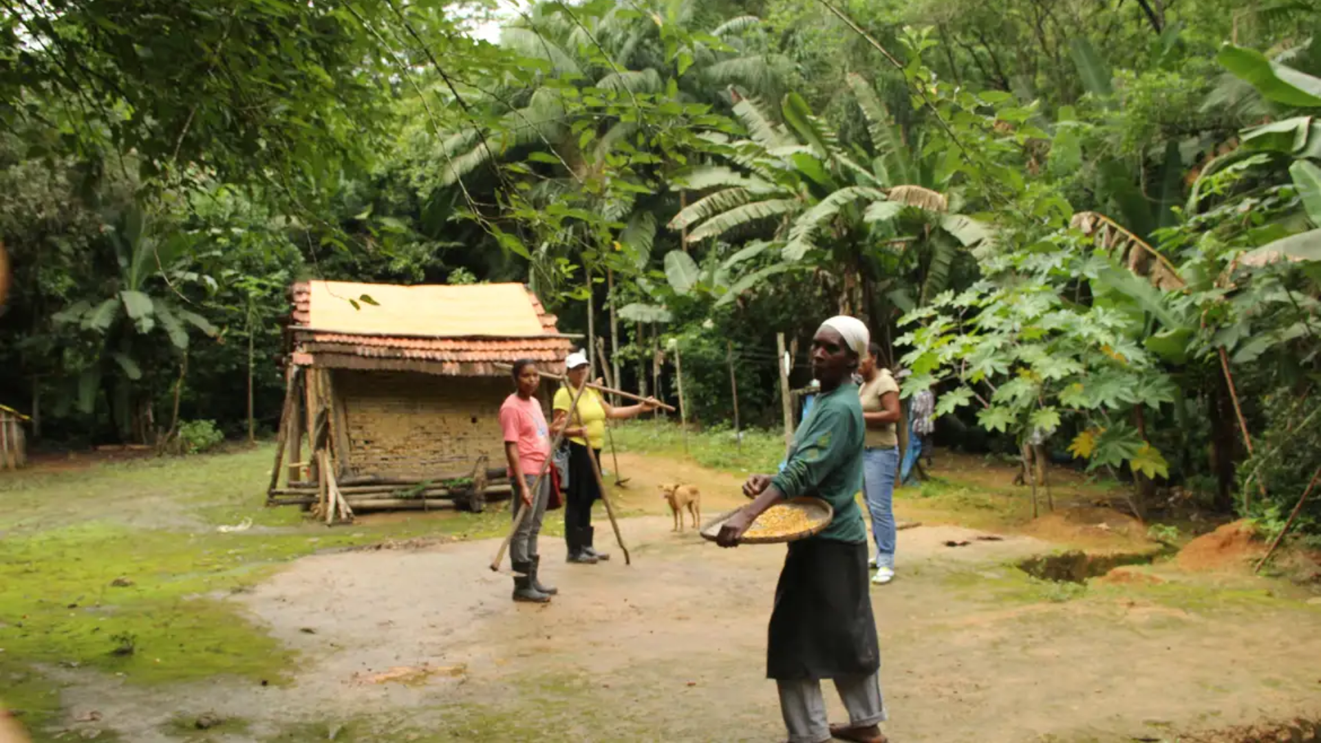 Quilombos serão reconhecidos como patrimônios culturais pelo Iphan