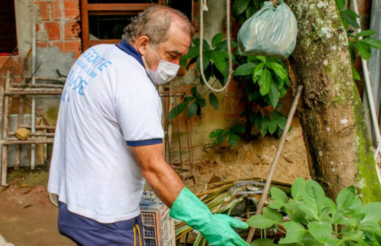 Cidade do Rio apresenta baixo risco para infestação de mosquito da dengue