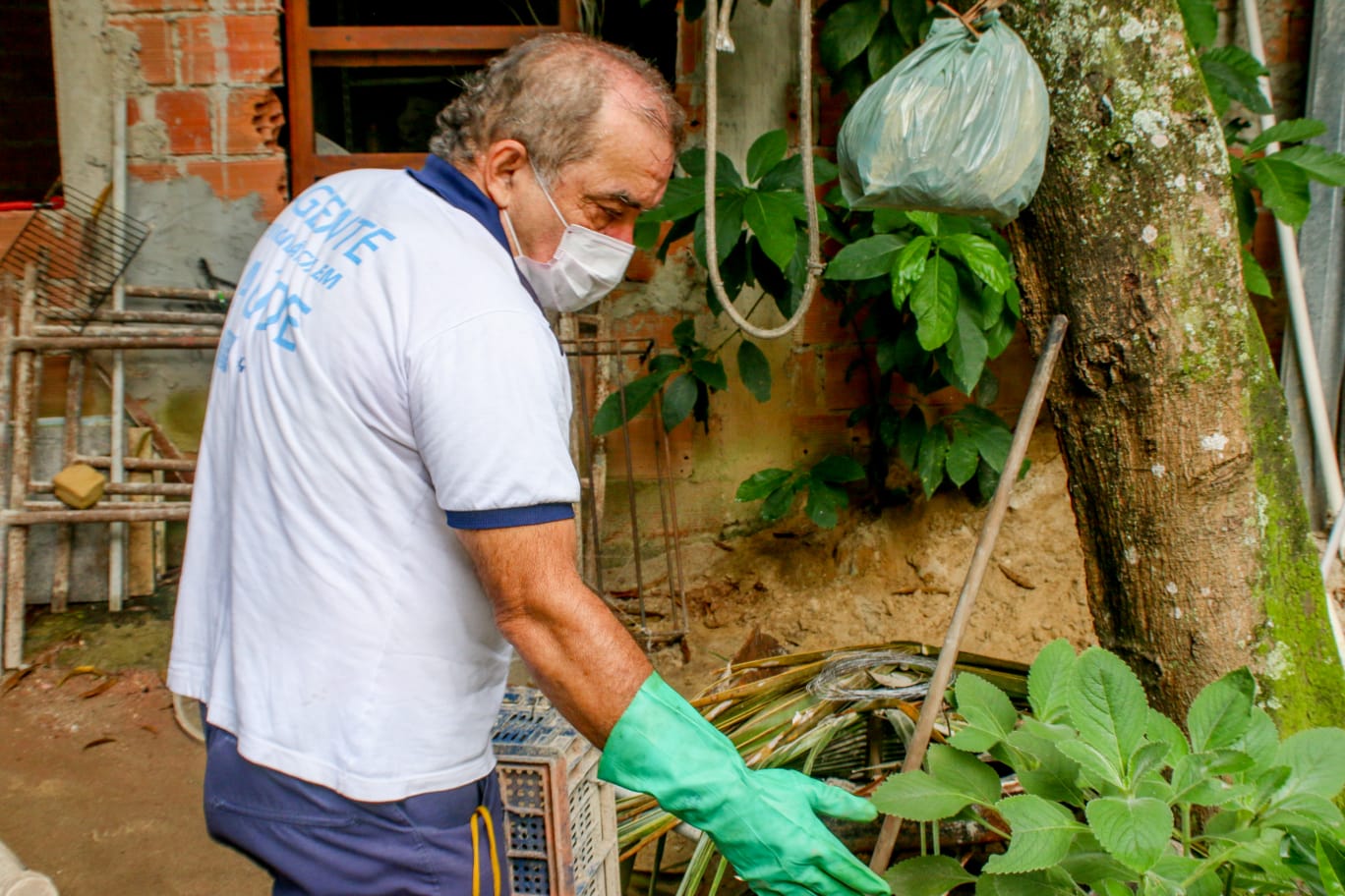 Cidade do Rio apresenta baixo risco para infestação de mosquito da dengue