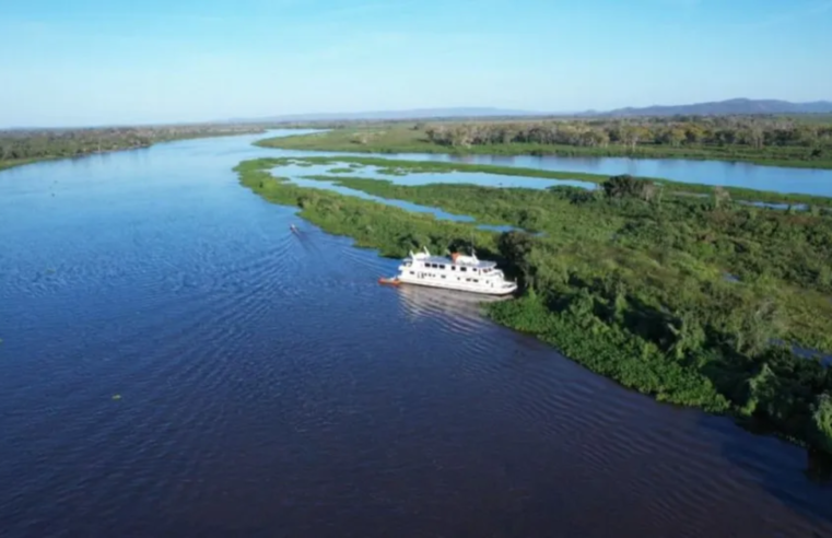 COP-28: Pantanal e Cerrado devem ser destaque do Brasil