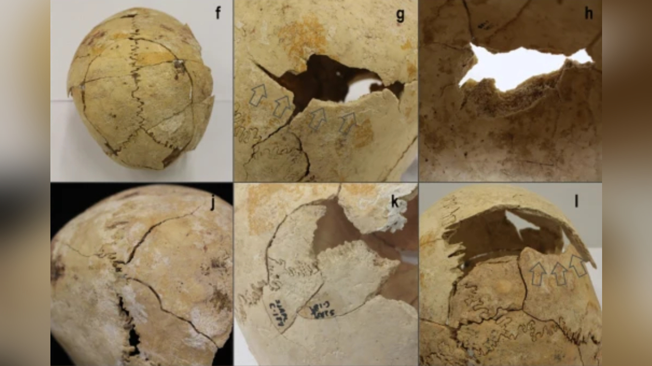 Restos mortais em caverna na Espanha sugerem guerra há 5 mil anos atrás