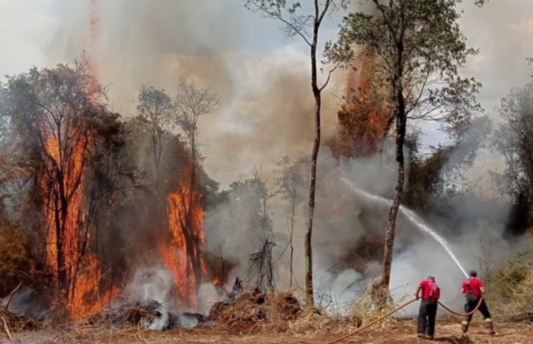 Casos de incêndios aumentam 74% no Brasil em novembro