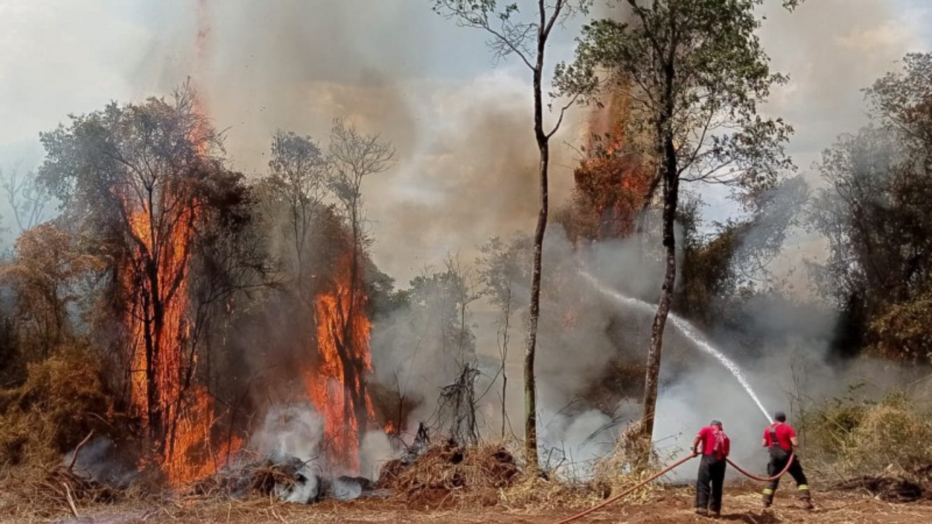 Casos de incêndios aumentam 74% no Brasil em novembro