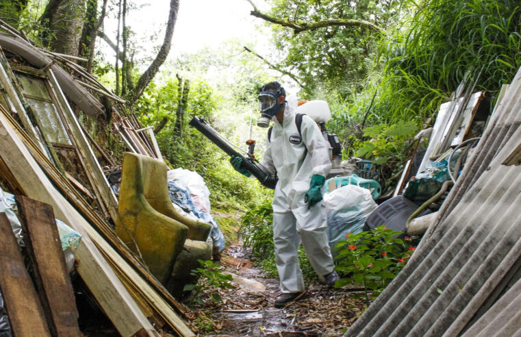 Três em cada dez brasileiros afirmam que já tiveram dengue