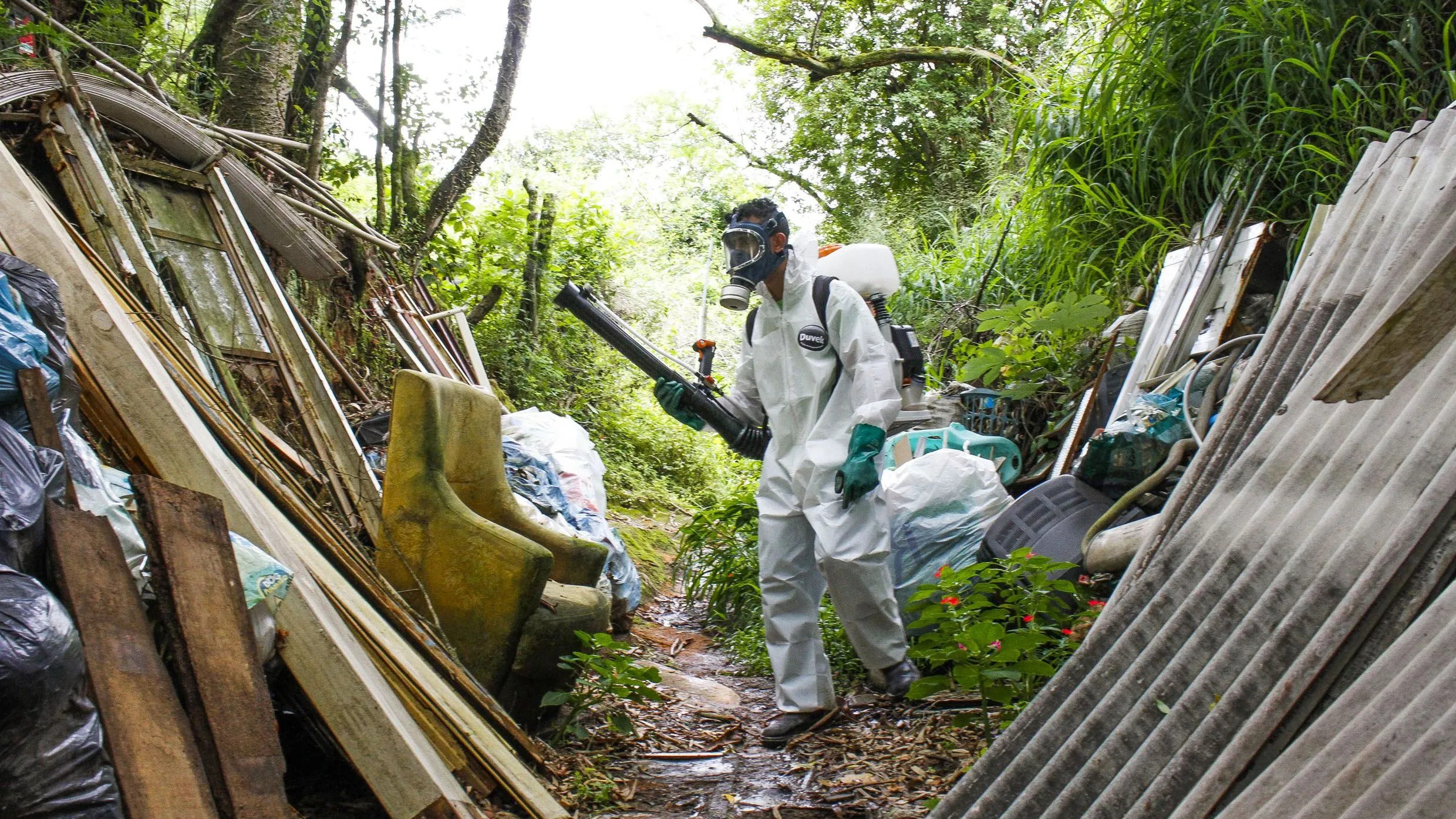 Três em cada dez brasileiros afirmam que já tiveram dengue