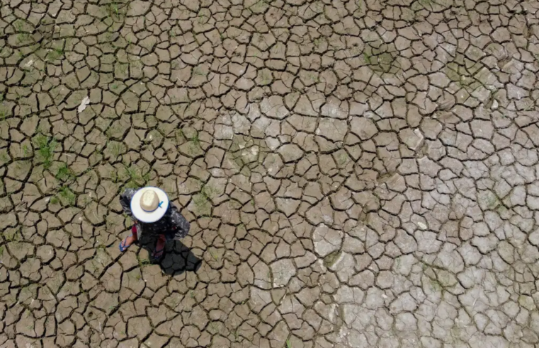 Fenômeno El Niño pode agravar ondas de calor no país