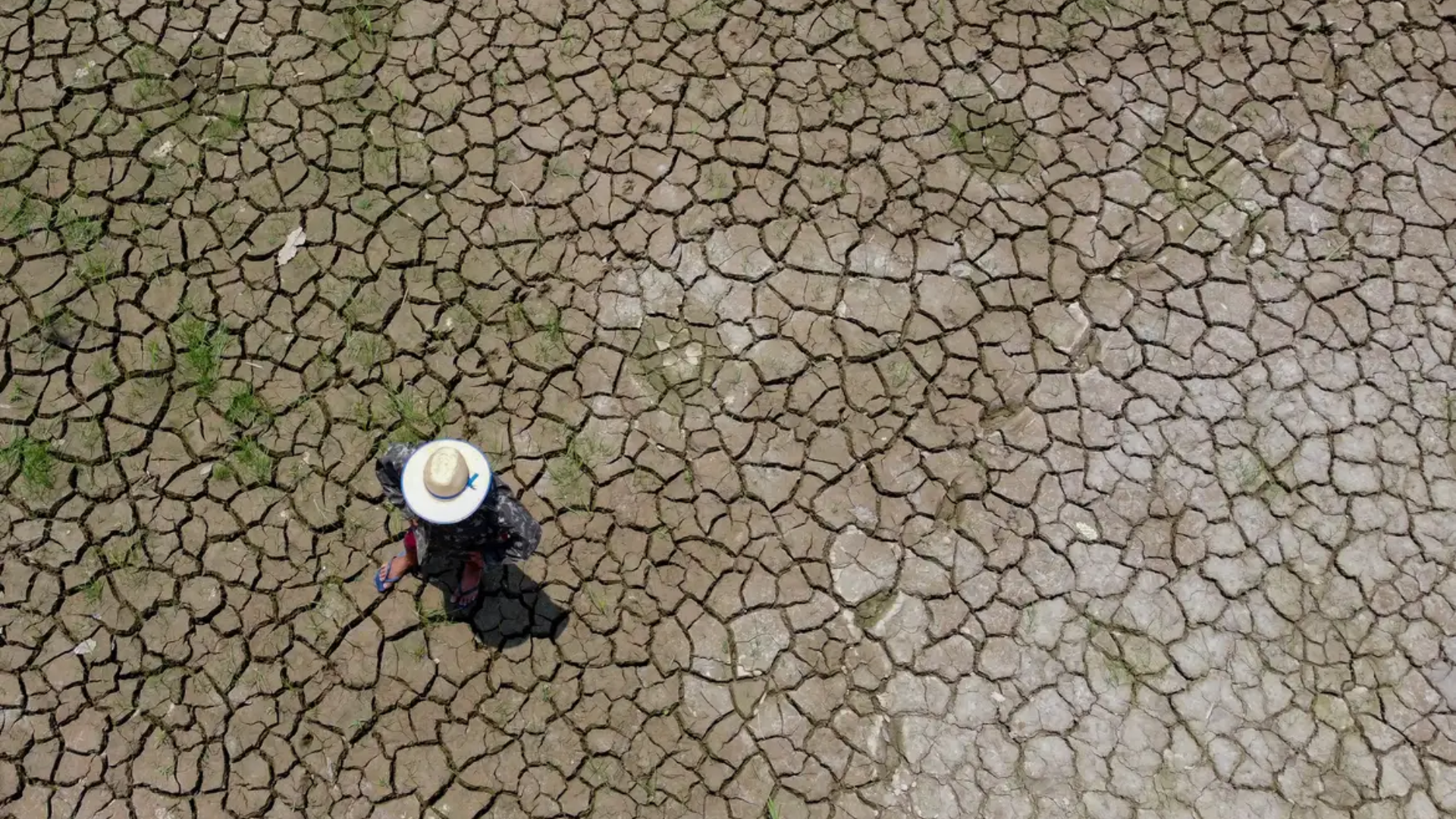 Fenômeno El Niño pode agravar ondas de calor no país