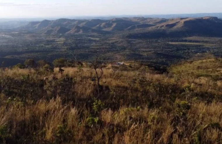 Em 38 anos, Brasil perdeu 16% de sua vegetação natural não florestal