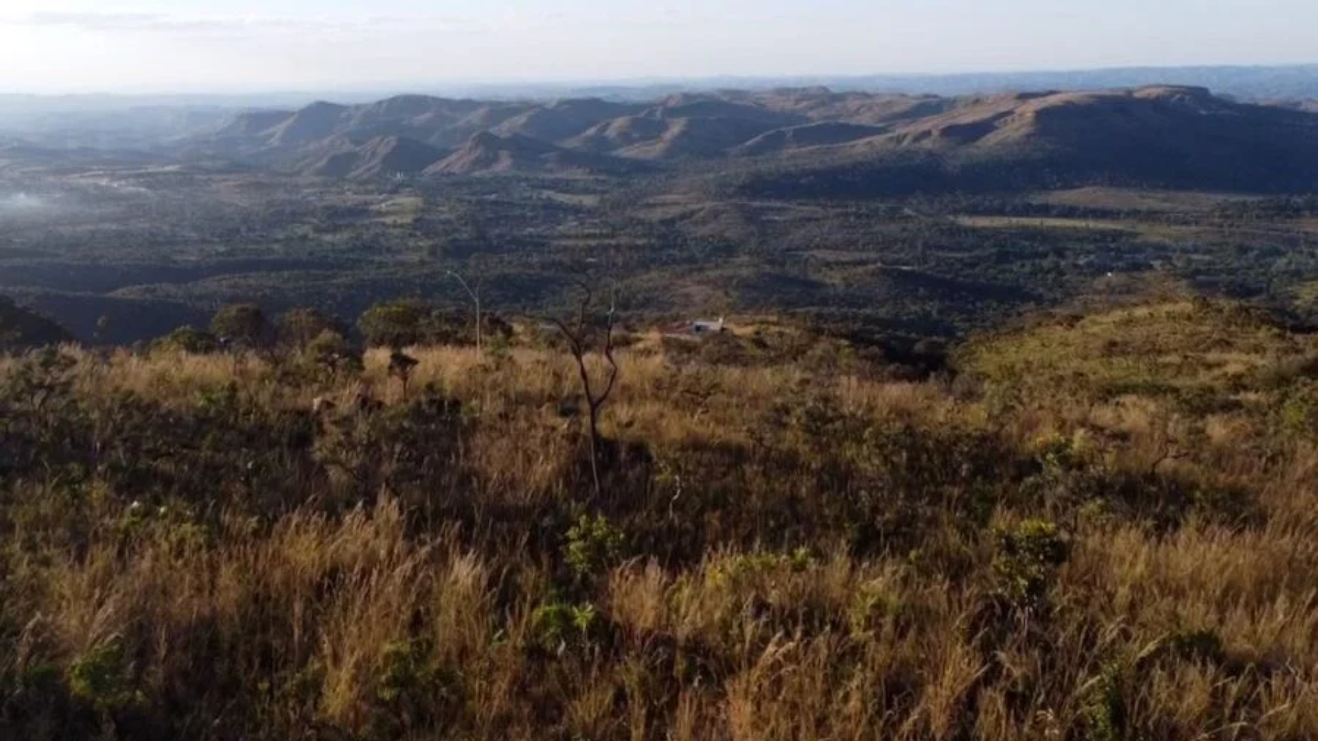 Em 38 anos, Brasil perdeu 16% de sua vegetação natural não florestal