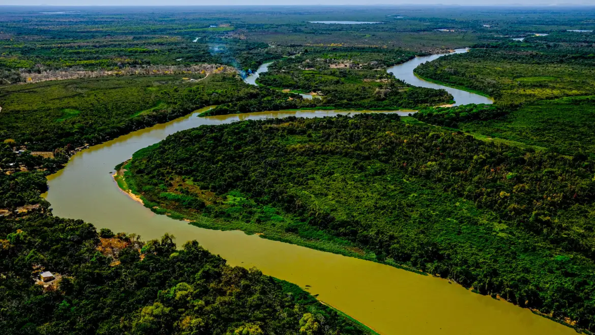 BNDES e Petrobras anunciam investimento na conservação do Cerrado e Pantanal