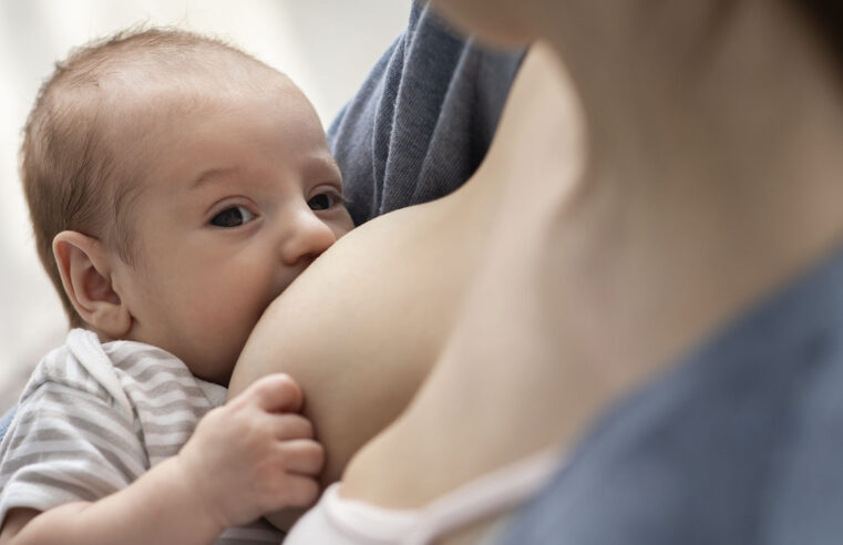 OMS libera leite de vaca para bebês de 6 a 11 meses que não mamam o materno