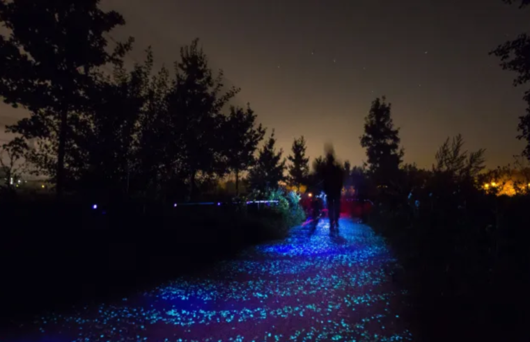 Holanda tem ciclovia brilhante inspirada em obra de Van Gogh