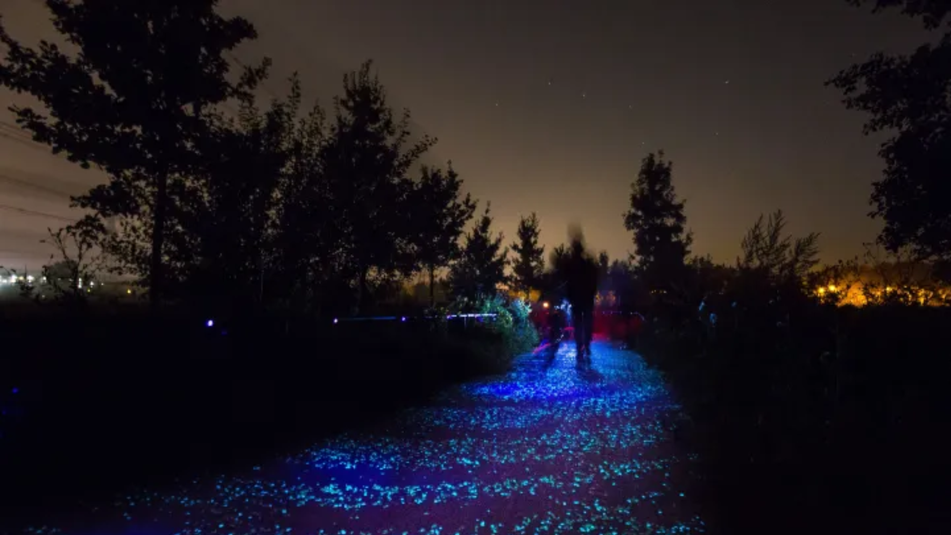 Holanda tem ciclovia brilhante inspirada em obra de Van Gogh