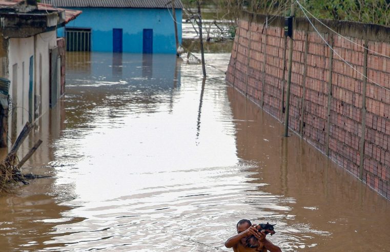 Saúde faz alerta sobre leptospirose, doença que surge após chuvas e alagamentos 