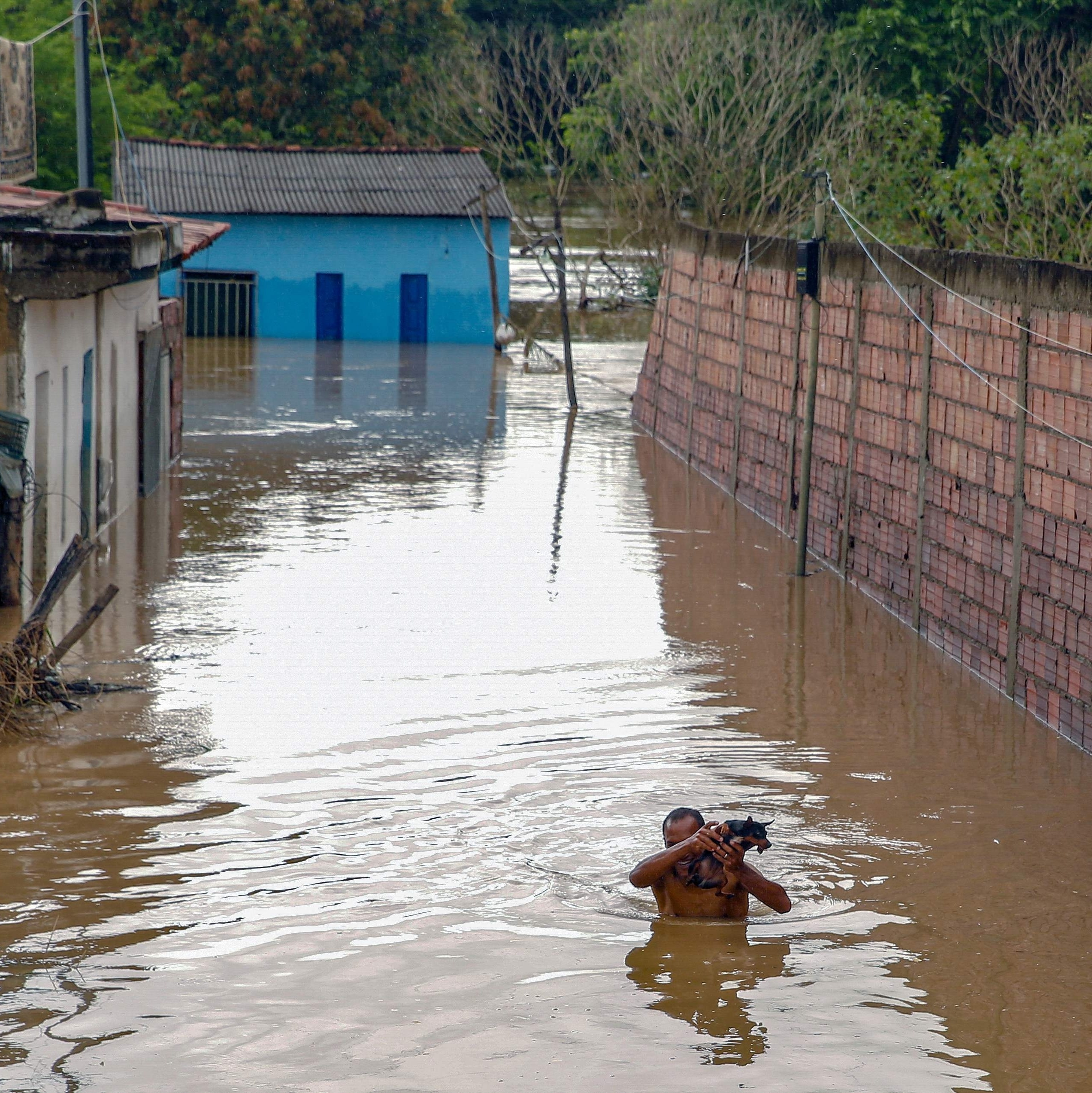 Saúde faz alerta sobre leptospirose, doença que surge após chuvas e alagamentos 