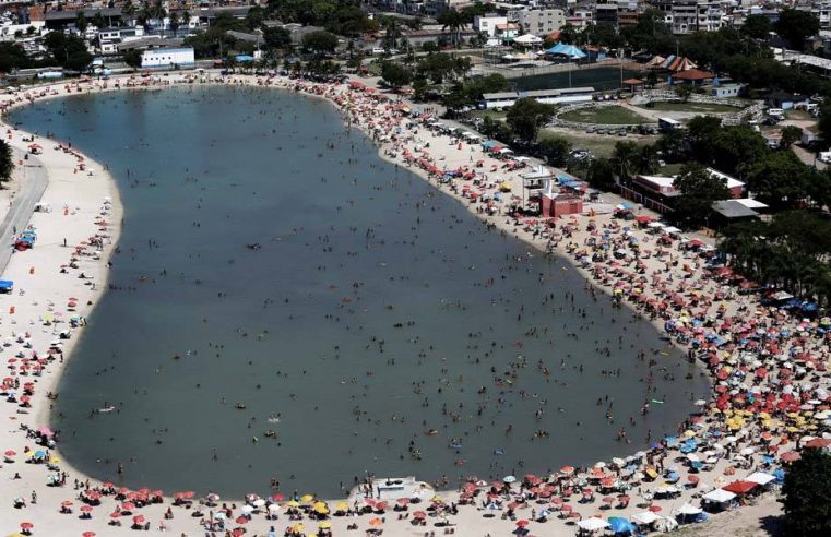 Animais marinhos encontrados em Piscinão de Ramos não oferecem risco à saúde