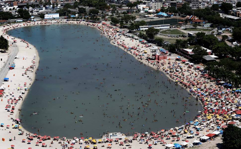 Animais marinhos encontrados em Piscinão de Ramos não oferecem risco à saúde