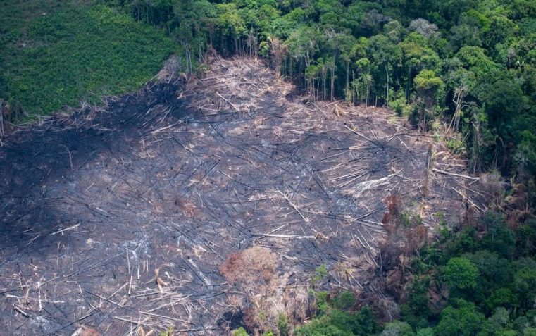 Desmatamento em áreas protegidas da Amazônia cai em 2023