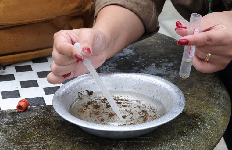 Rio liga sinal de alerta para risco de epidemia de dengue em fevereiro 