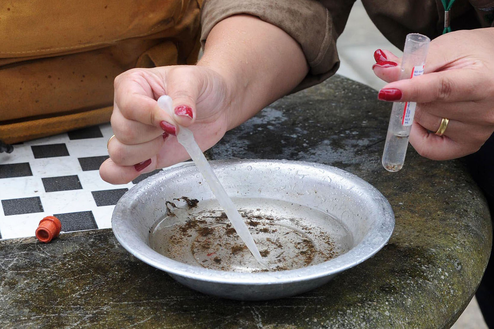 Rio liga sinal de alerta para risco de epidemia de dengue em fevereiro 