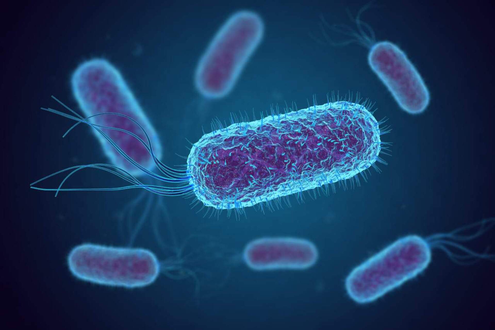 DNA antigo oferece novas evidências de teoria sobre origem da sífilis 