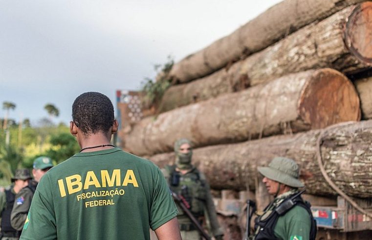 Funcionários do Ibama prometem suspensão da fiscalização ambiental