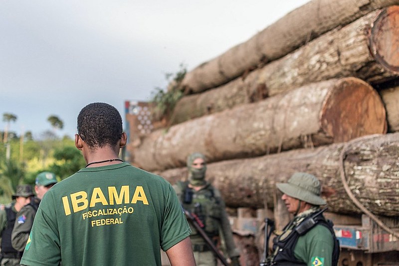 Funcionários do Ibama prometem suspensão da fiscalização ambiental