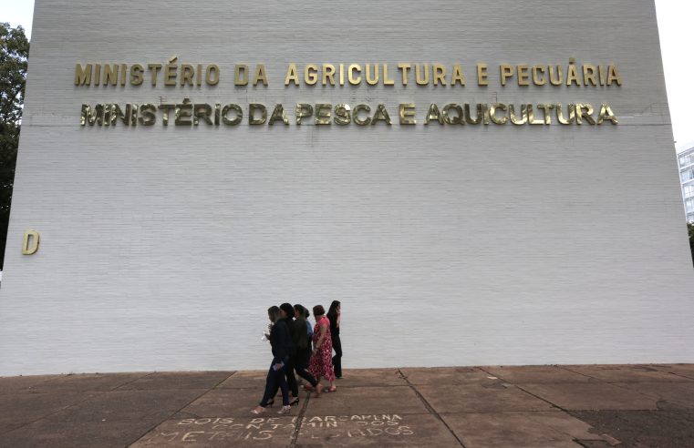 Ministério da Pesca e Aquicultura terá concurso para 264 temporários 