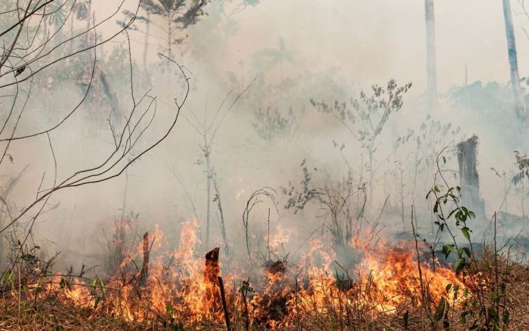 Em 2023, Brasil perdeu uma área maior do que o Acre para queimadas