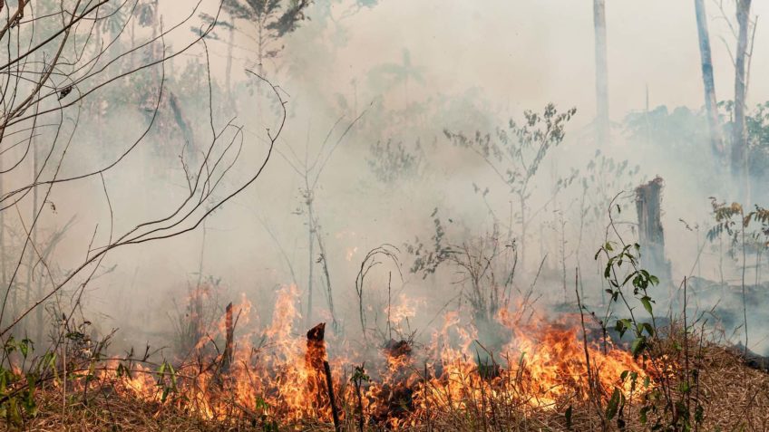 Em 2023, Brasil perdeu uma área maior do que o Acre para queimadas