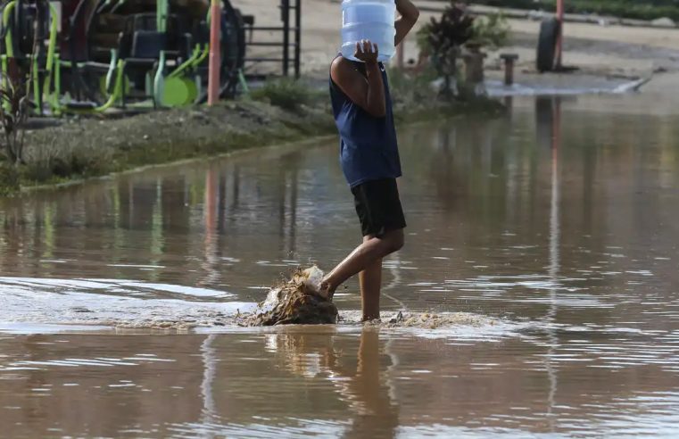 Rio de Janeiro tem aumento de 54% nos casos de leptospirose