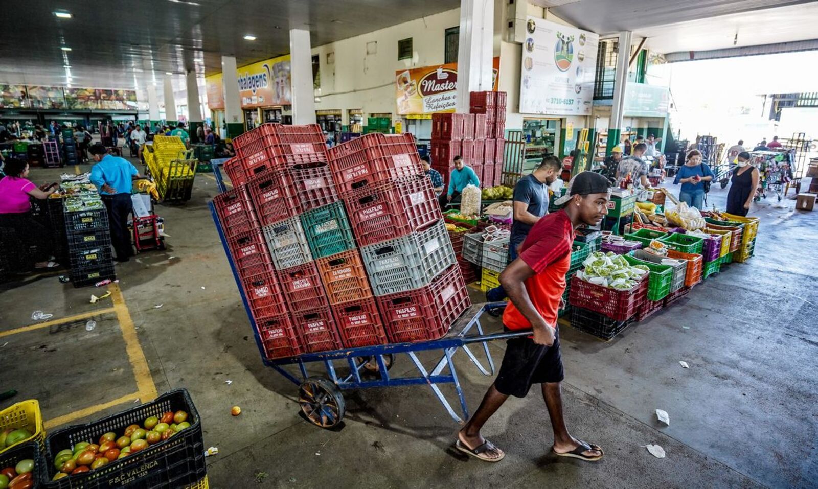 Cenoura, batata, banana, laranja ficaram mais caras em janeiro 