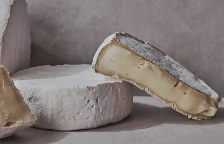 Queijo Camembert corre risco de extinção