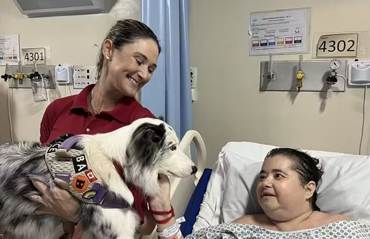 INCA adota o uso de cães em tratamento contra o câncer