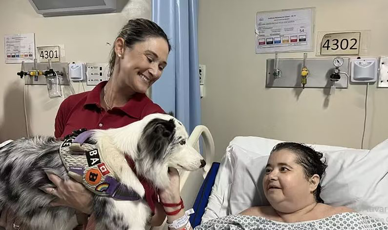 INCA adota o uso de cães em tratamento contra o câncer