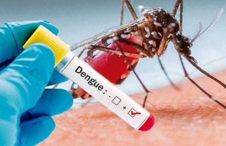 Ministério da Saúde aponta queda nos casos de Dengue em grande parte do Brasil
