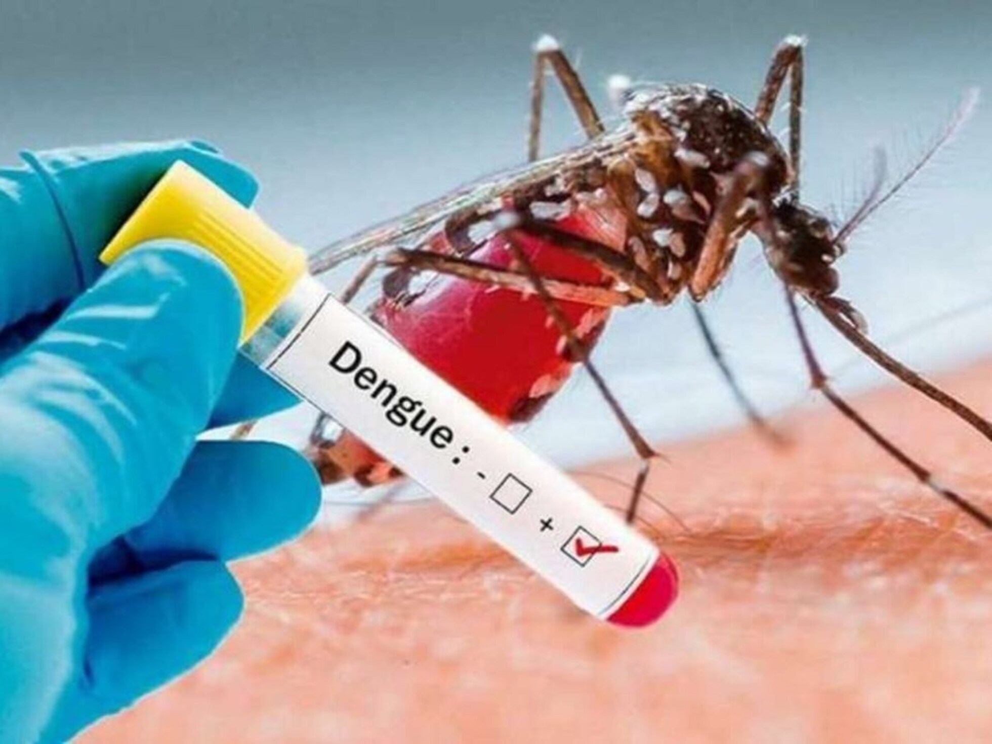 Ministério da Saúde aponta queda nos casos de Dengue em grande parte do Brasil
