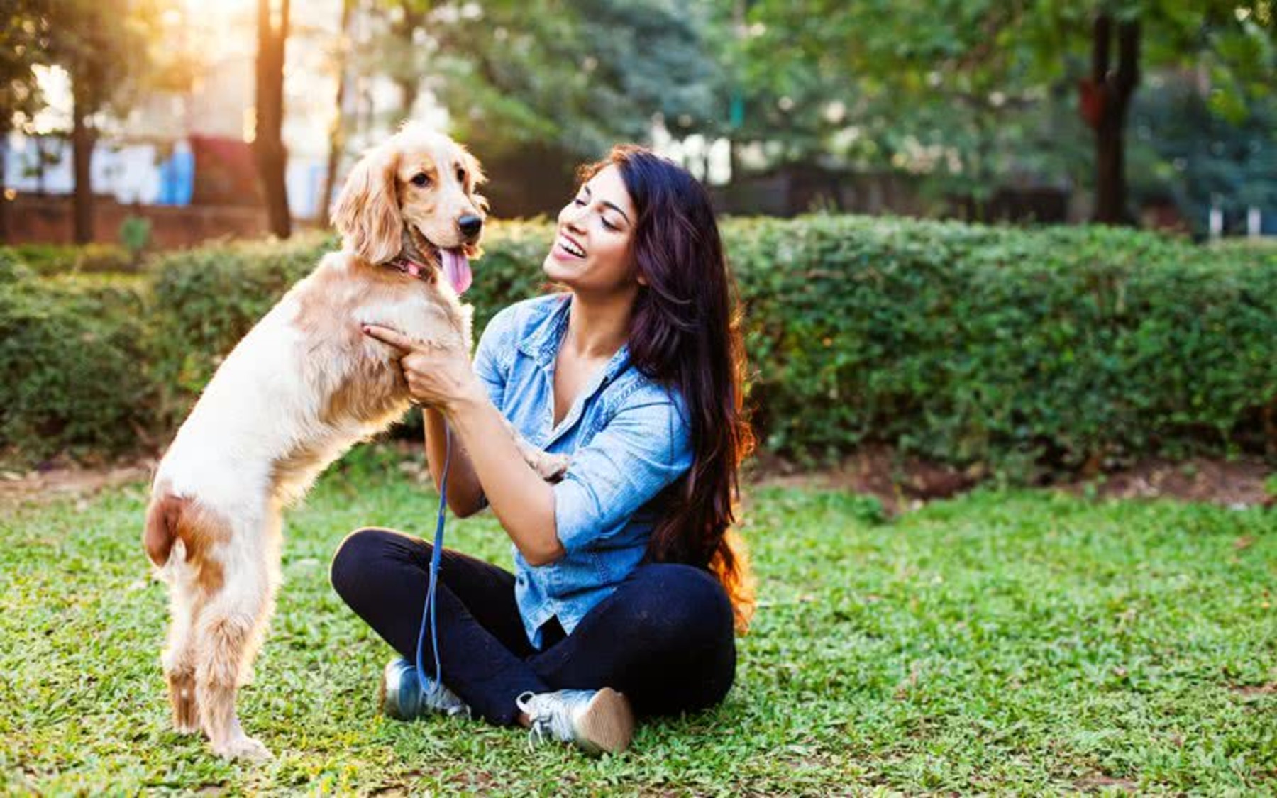 Brincar com cães ajuda a reduzir estresse