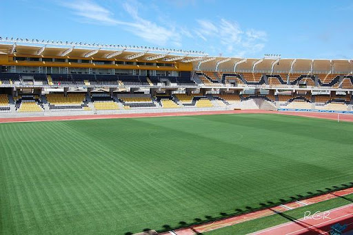 Conmebol decide local da partida entre Flamengo e Palestino pela quarta rodada da Libertadores