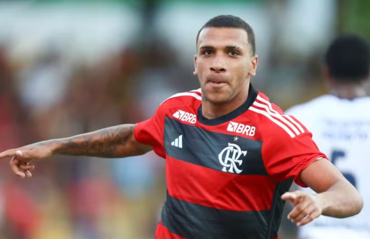 Petterson é liberado pelo Flamengo para negociar com o Avaí