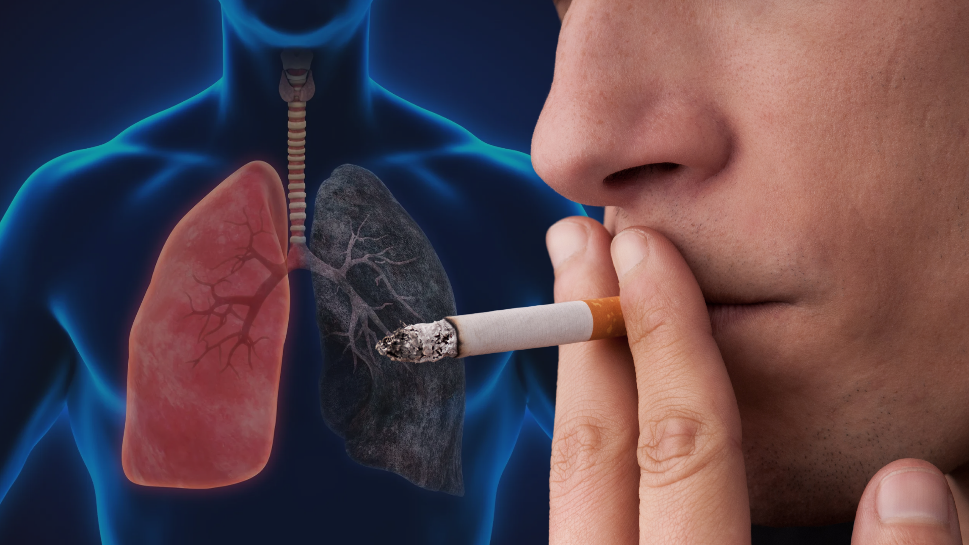 Estudo revela que tabagismo é responsável por 80% das mortes por câncer de pulmão no Brasil