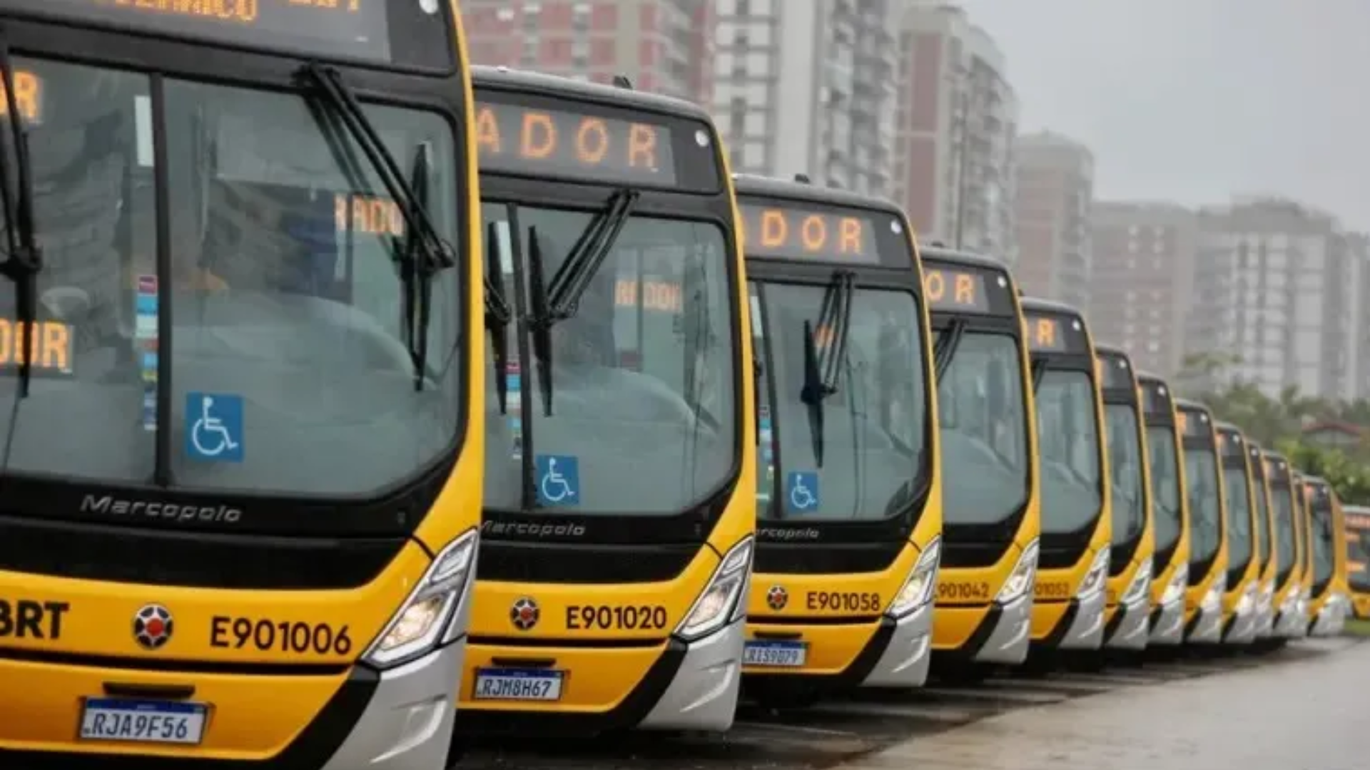 Número de passageiros do BRT Transolímpica aumenta mais que o dobro após compra de novos ônibus