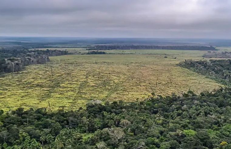 Amazônia: desmatamento teve redução de 22%, menor patamar desde 2018