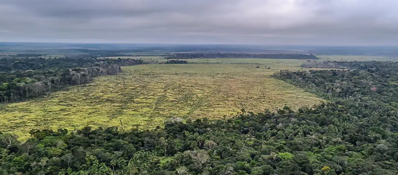 Amazônia: desmatamento teve redução de 22%, menor patamar desde 2018